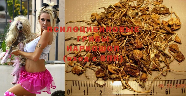 прущие крисы Абаза