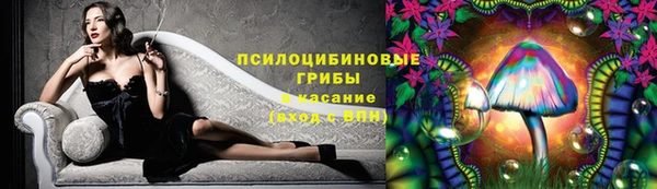 прущие крисы Абаза