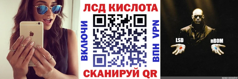 даркнет Telegram  купить наркотик  Новотитаровская  Марки NBOMe 1500мкг 