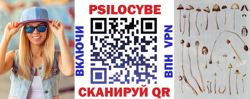 Псилоцибиновые грибы мицелий  кракен зеркало  Новотитаровская 